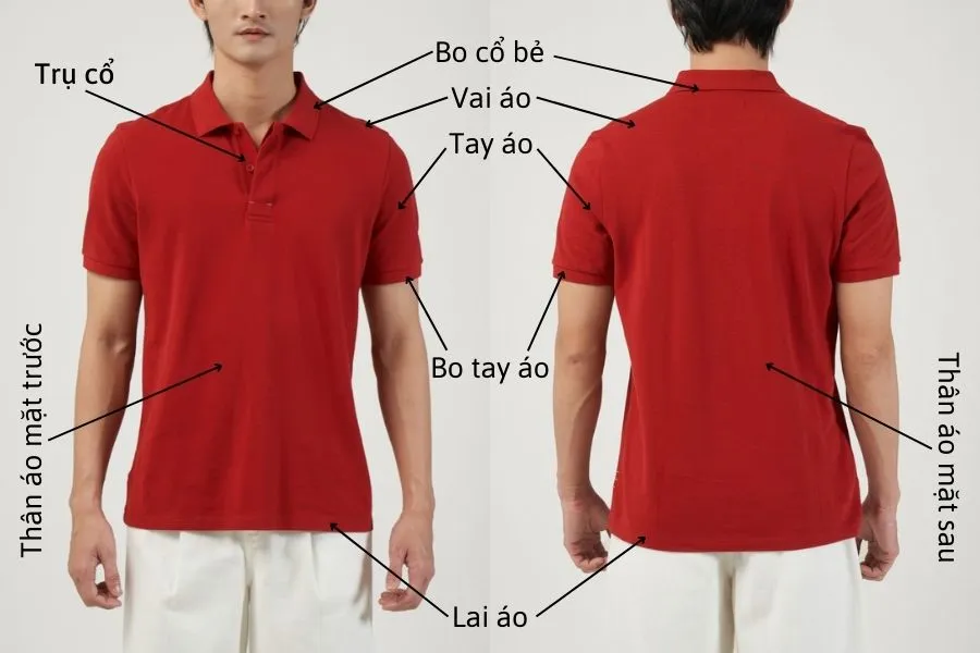Top 15 shop bán áo Polo nam, nữ chất liệu tốt và uy tín